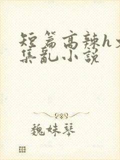 短篇高辣h文合集乱小说