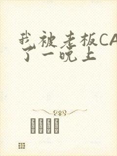 我被老板CAO了一晚上