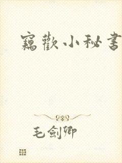 窃欢小秘书