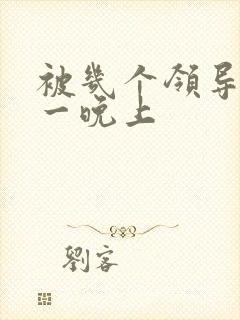 被几个领导玩弄一晚上封面