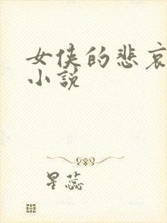 女侠的悲哀续集小说封面