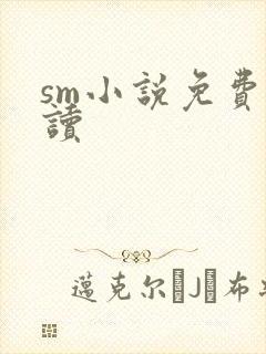 sm小说免费阅读封面