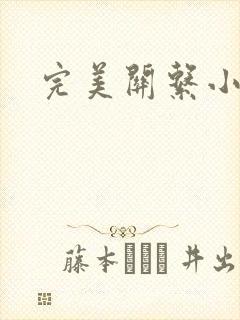 完美关系小说