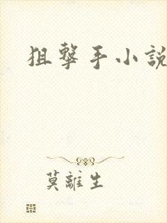 狙击手小说