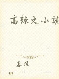 高辣文小说