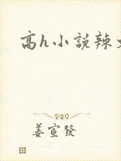 高h小说辣文