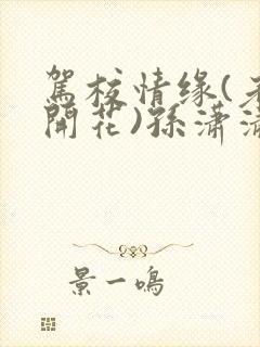 驾校情缘(老树开花)孙潇潇第一次趣笔阁