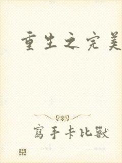 重生之完美一生封面