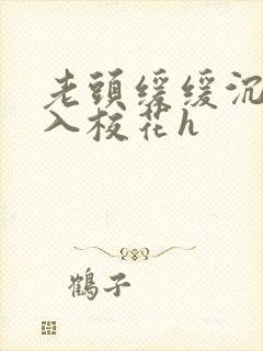 老头缓缓沉腰进入校花h