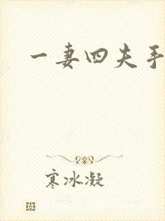 一妻四夫手记封面