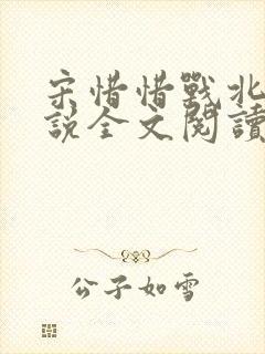 宋惜惜战北望小说全文阅读封面