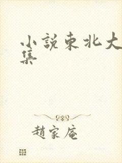 小说东北大炕全集