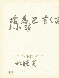据为己有(高干)小说封面