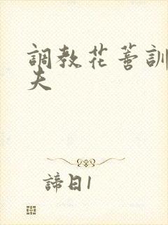 调教花蒂训诫从夫封面
