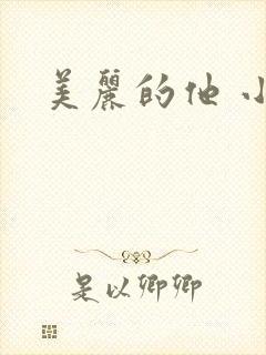 美丽的他 小说封面