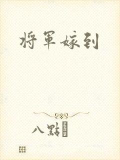 将军嫁到