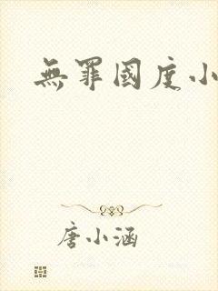 无罪国度小说封面