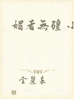 媚者无疆 小说封面