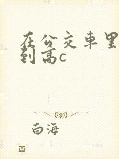 在公交车里c弄到高c
