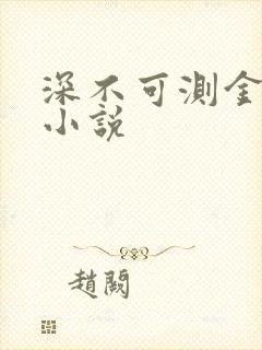深不可测金银花小说