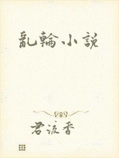 乱轮小说