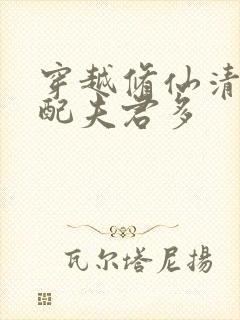 穿越修仙清纯女配夫君多