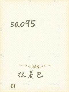 sao95封面