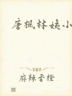 唐枫林姨小说