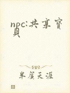 npc:共享宝贝封面