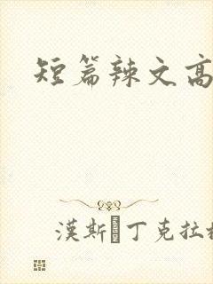 短篇辣文高h
