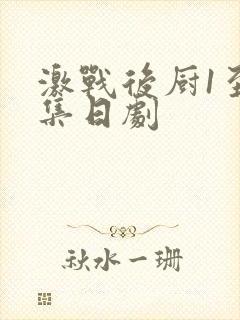 激战后厨1至5集日剧
