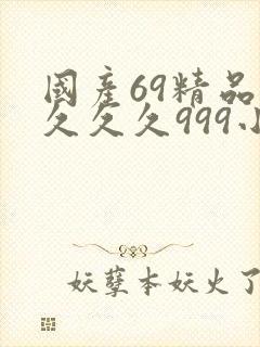 国产69精品久久久久999小说