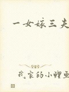 一女嫁三夫封面