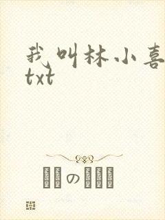 我叫林小喜小说txt