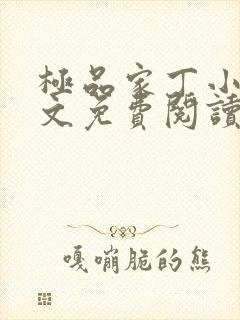 极品家丁小说全文免费阅读