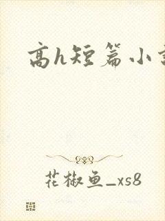 高h短篇小说