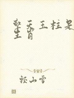 擎天玉柱是什么生肖