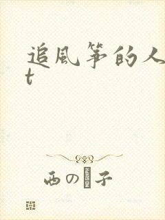 追风筝的人txt