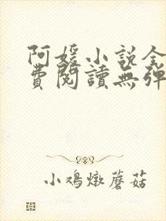 阿媛小说全文免费阅读无弹窗笔趣阁