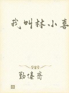 我叫林小喜17