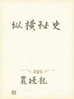 纵横秘史封面