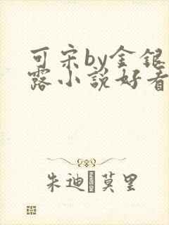 可宋by金银花露小说好看吗
