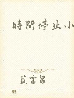 时间停止小说