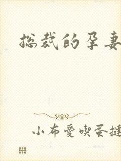 总裁的孕妻