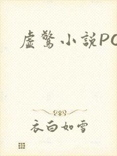 虚惊小说PO