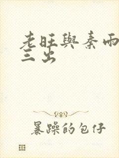 老旺与秦雨三进三出