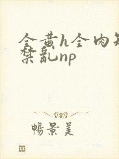 全黄h全肉短篇禁乱np封面