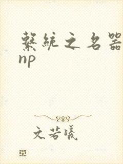 系统之名器攻略np