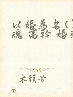 以婚为名 (军魂 高干 婚恋)