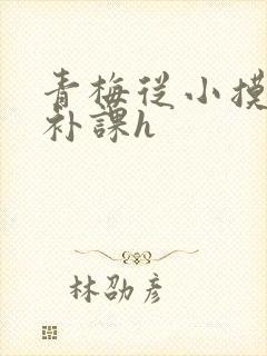 青梅从小摸到大补课h